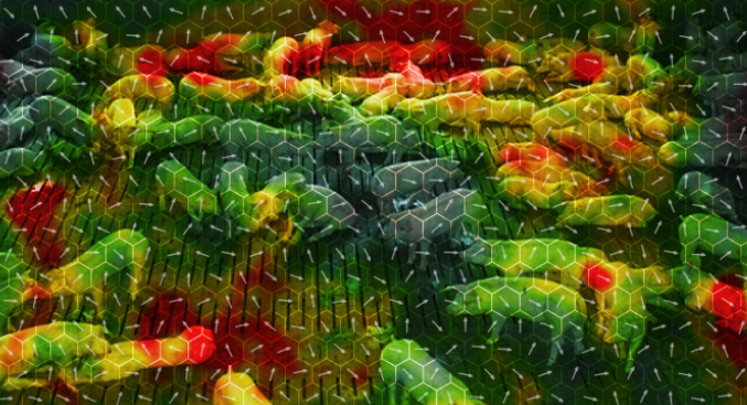 Leveraging Technology for Pig Welfare Management.PNG